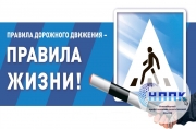 Онлайн-марафон на знание основ правил дорожного движения