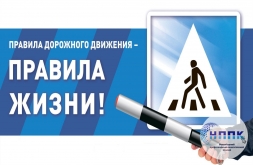Онлайн-марафон на знание основ правил дорожного движения